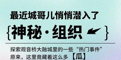吃瓜宋体,揭秘网络热词背后的文化现象