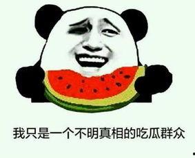 吃饭看到别人打架吃瓜