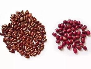 台湾红豆妹吃瓜,趣味互动引网友热议