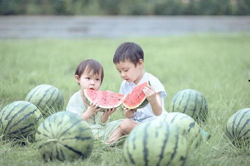 吃瓜娃娃购买,揭秘她的购物清单与消费心得