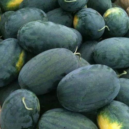 吃瓜产花,揭秘娱乐圈的甜蜜与苦涩