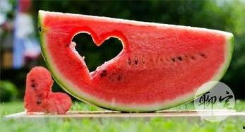 吃瓜小模样,网络红人的崛起与影响