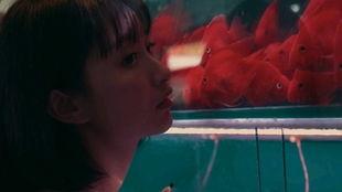 吃瓜内涵女生视频素材,揭秘吃瓜女孩的欢乐瞬间