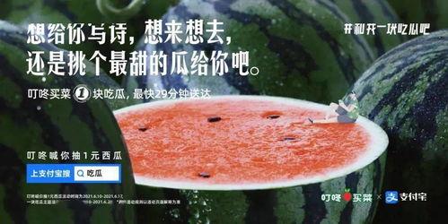 网络吃瓜文案,揭秘热门事件背后的真相与笑料