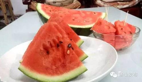 大砀山吃瓜,夏日消暑美食之旅