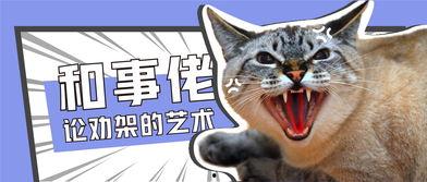 猫狗吃瓜大战,一场宠物界的趣味对决