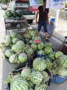 沧州近期吃瓜事件,近期热点事件深度解析