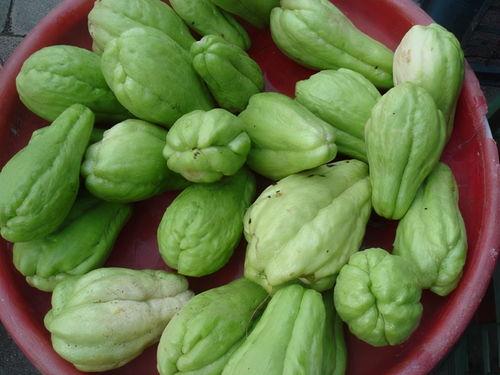 过年吃的那些瓜