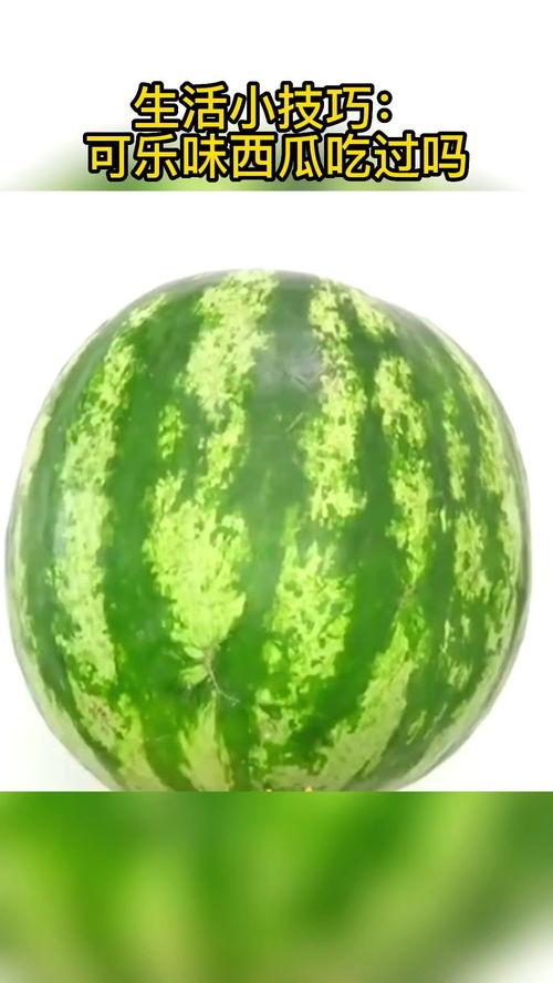 吃瓜生活小知识大全