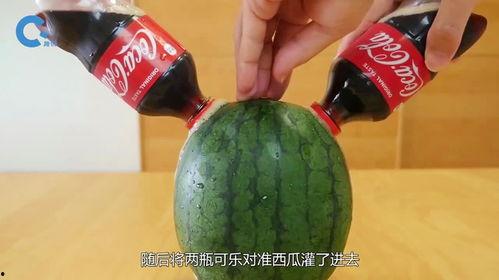 那你咋吃的瓜味,一场舌尖上的味蕾盛宴