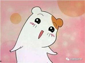 吃瓜来啦,吃瓜群众视角下的娱乐圈风云录