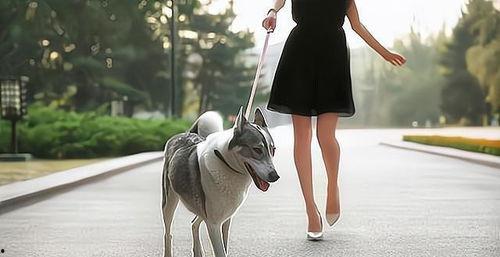 吃瓜现场路人围观,路人围观，揭秘娱乐圈幕后风云