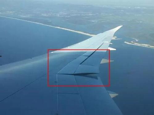 飞机机翼带你吃瓜,尽享机翼下的瓜果飘香之旅